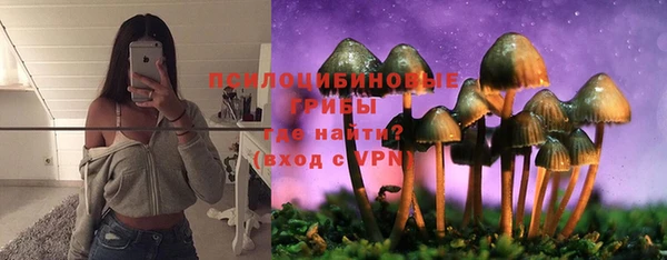 ALPHA PVP Баксан