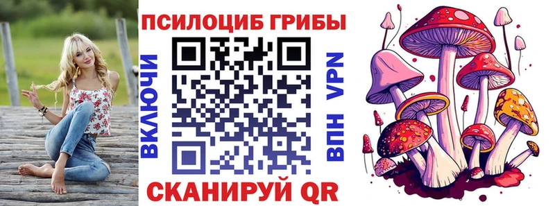 Галлюциногенные грибы Cubensis  закладки  Лангепас 